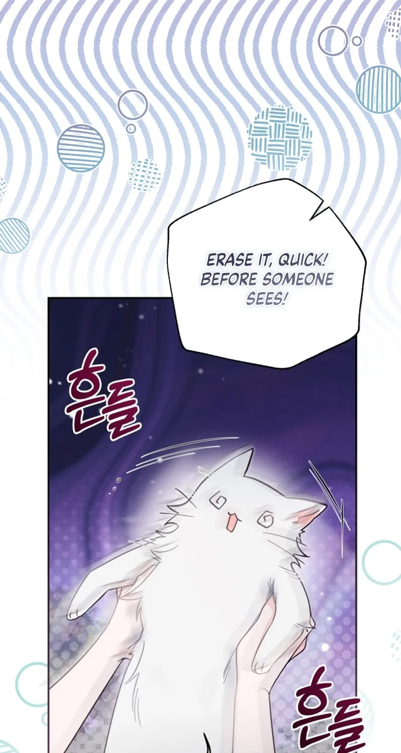 There Is No Place for Fakes Chapter 69 page 79 - 