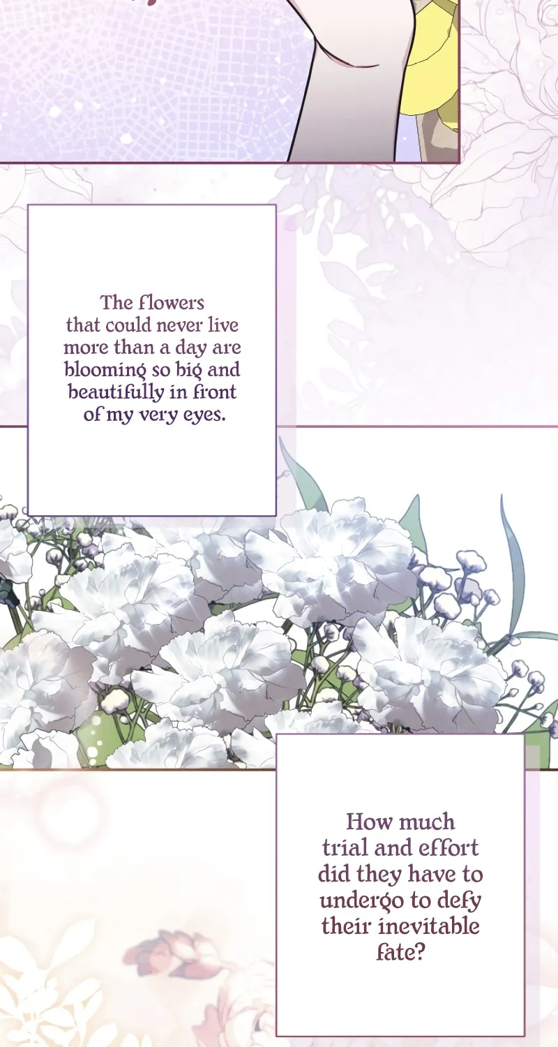 There Is No Place for Fakes Chapter 70 page 28 - 