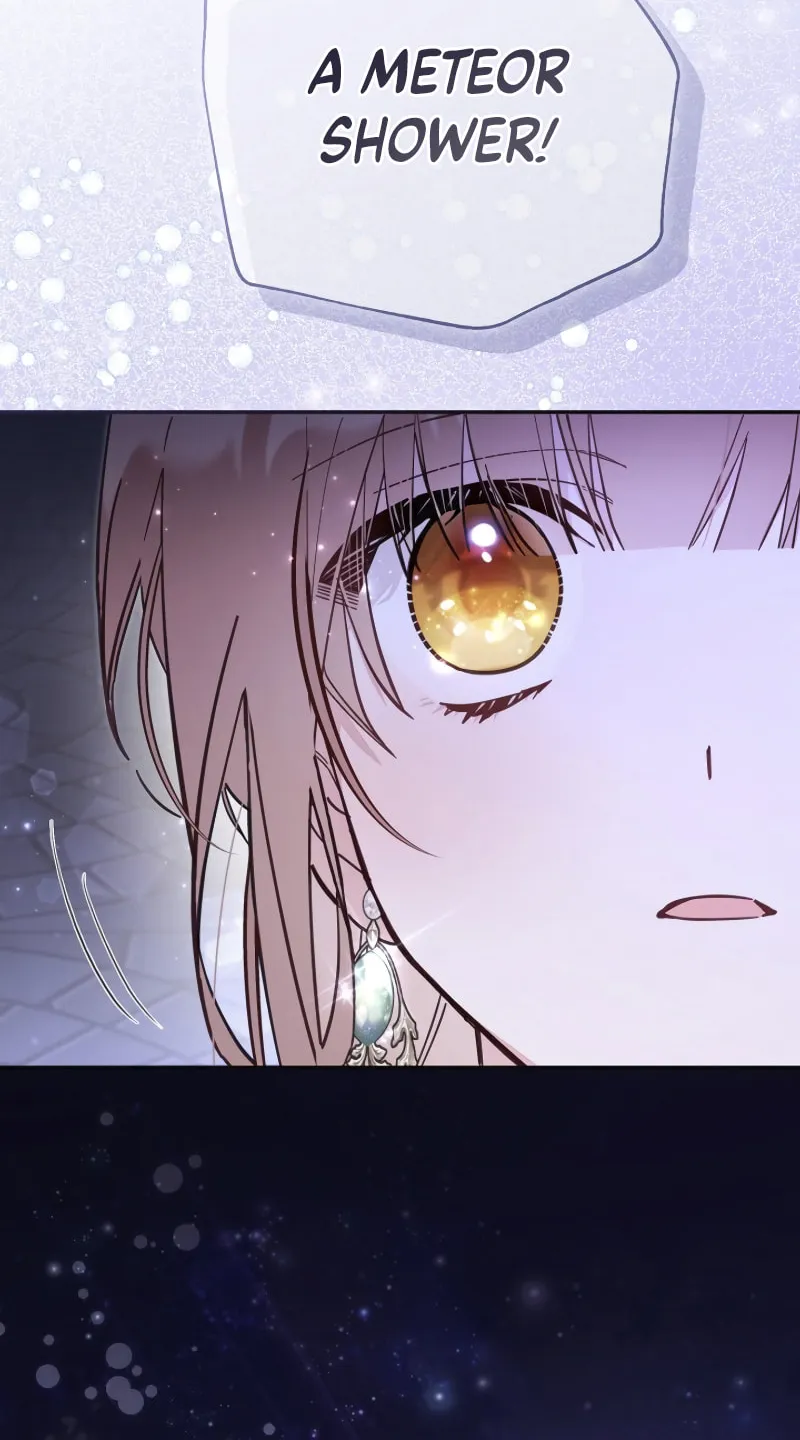 There Is No Place for Fakes Chapter 71 page 51 - 