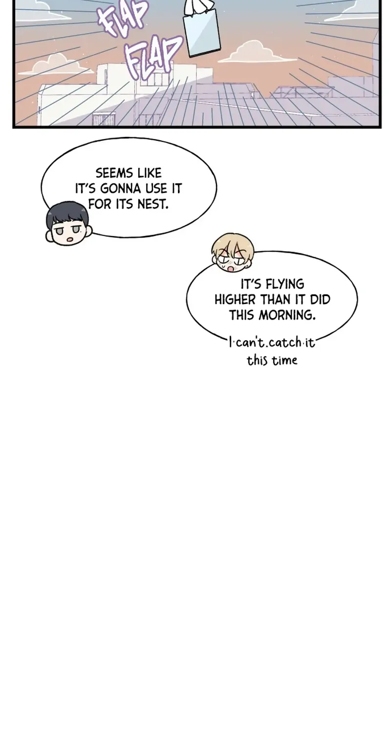 Read This Ends When I Confess chapter 5 image 42 on Lezhin