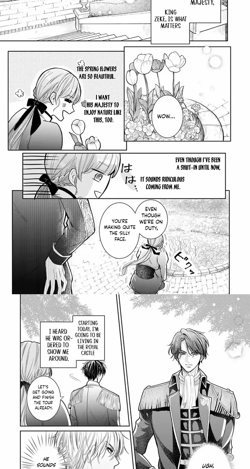 Read This Love Is Not a King