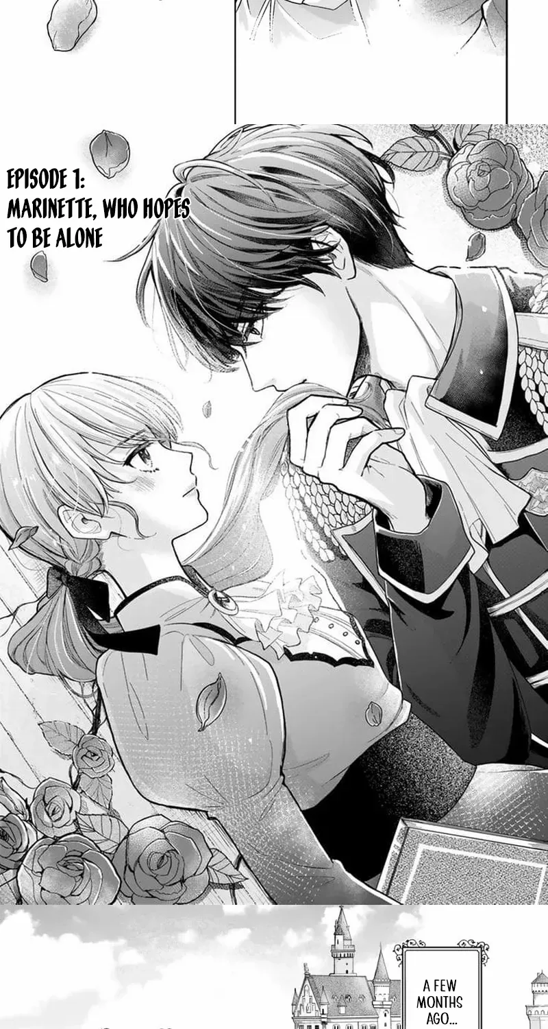 Read This Love Is Not a King
