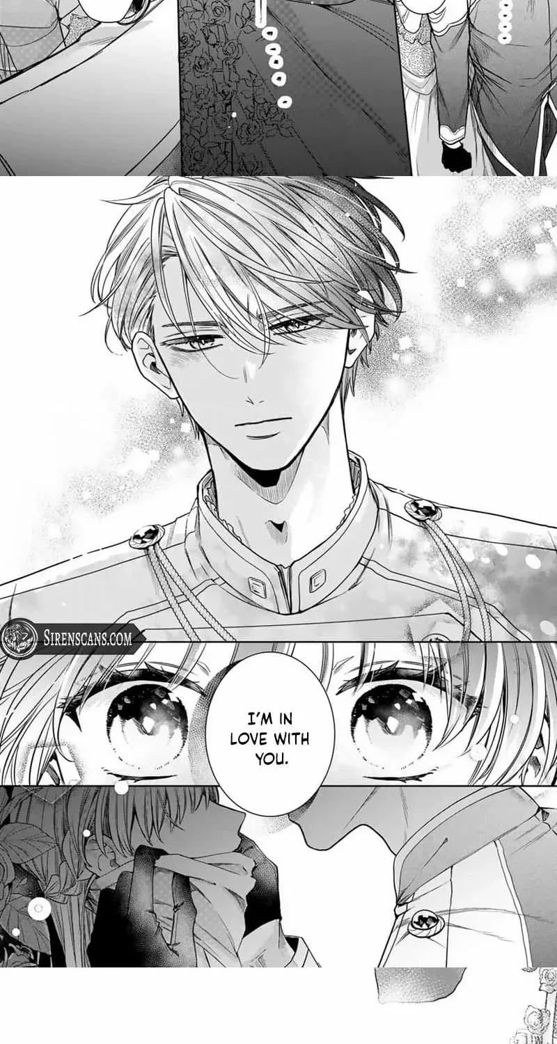 Read This Love Is Not a King