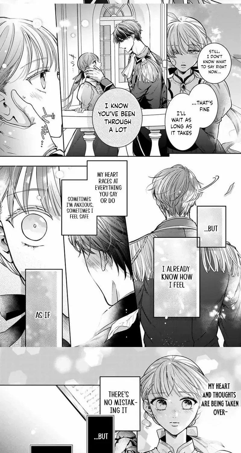 Read This Love Is Not a King