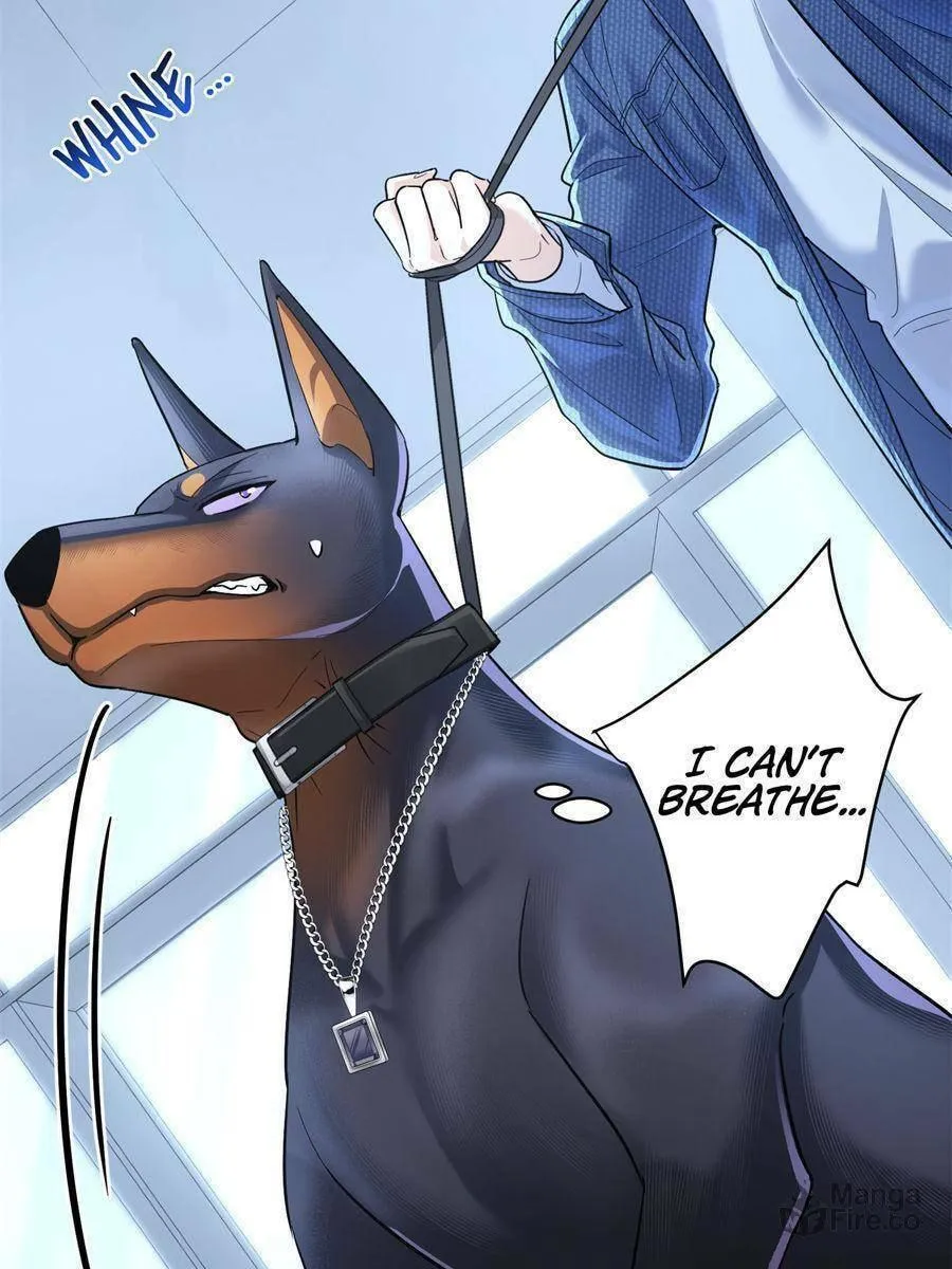 Read This Man Is a Real Dog chapter 13 image 77 on Lezhin