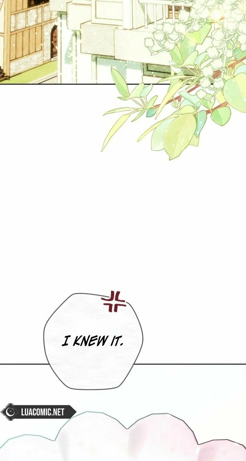 Read This Marriage Will Surely Succeed chapter 40 image 73 on Lezhin