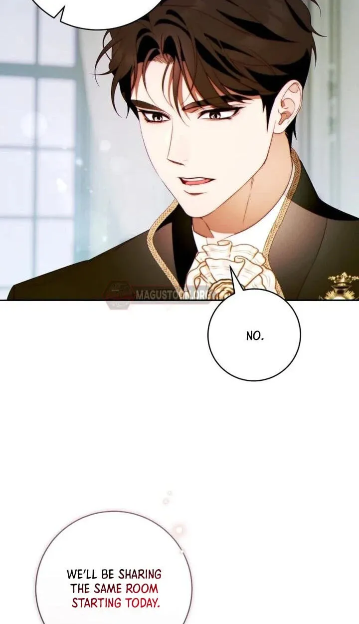 Read This Marriage Will Surely Succeed chapter 66 image 41 on Lezhin