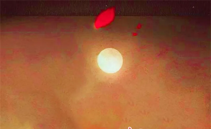 Read This Prince Is Lovesick chapter 108 image 0 on Lezhin