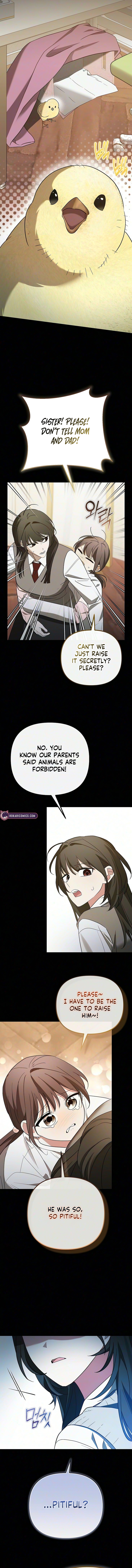 Read This Retired Saintess Will Raise Your Property Value chapter 39 image 5 on Lezhin