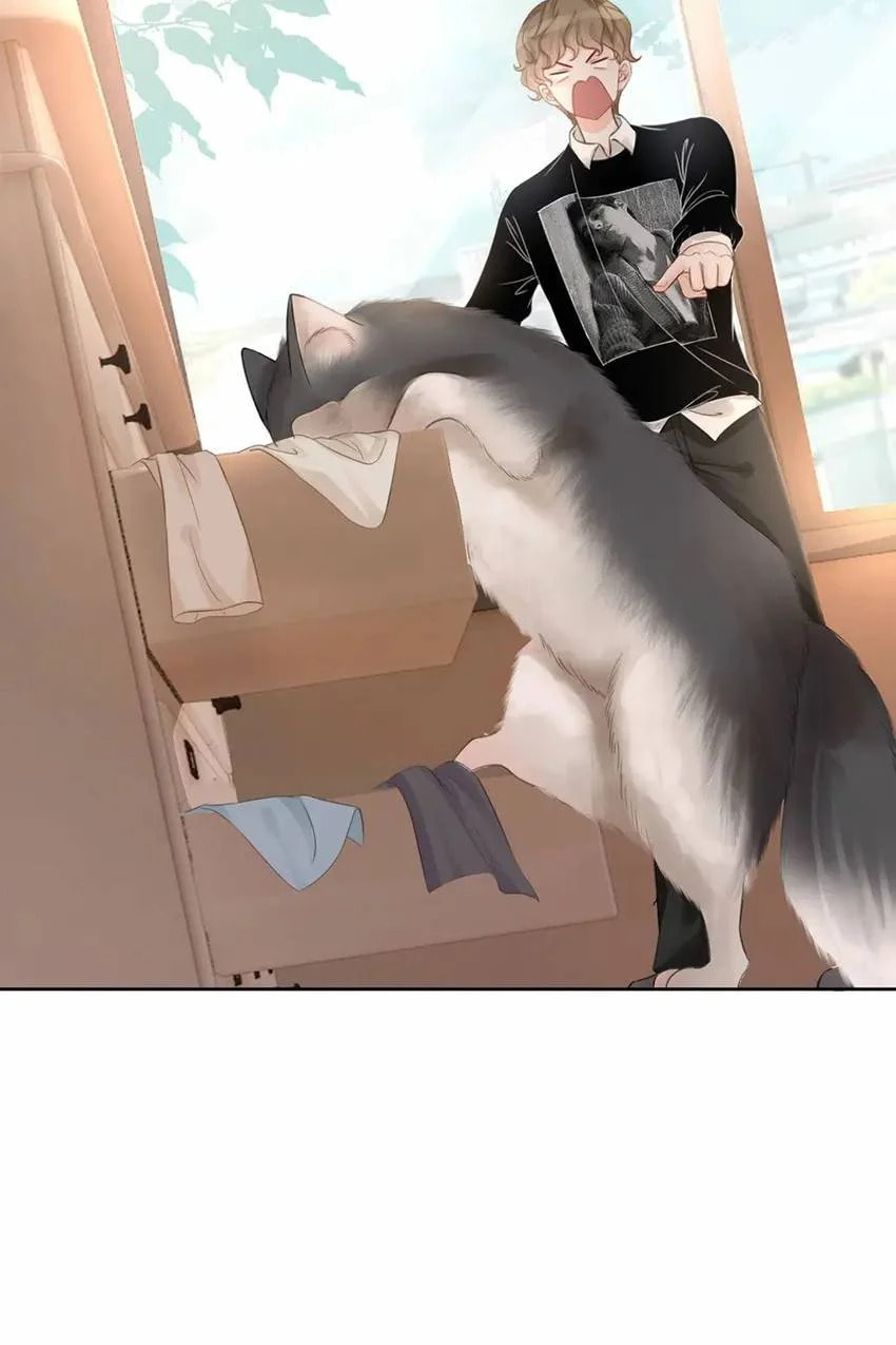 Read This Song Is Only for You chapter 33 image 29 on Lezhin