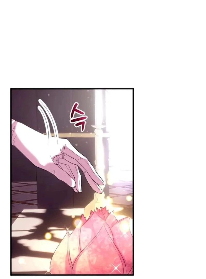 Read This Time I will Protect The Duke chapter 1 image 104 on Lezhin
