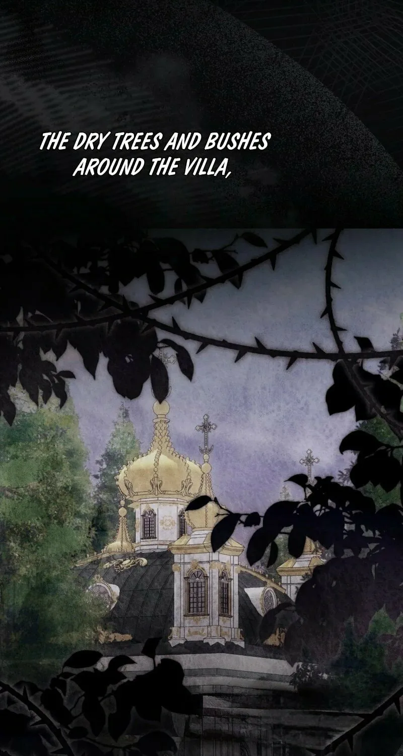 Read This Wild Mouse Has Taken Cinderella chapter 23 image 63 on Lezhin