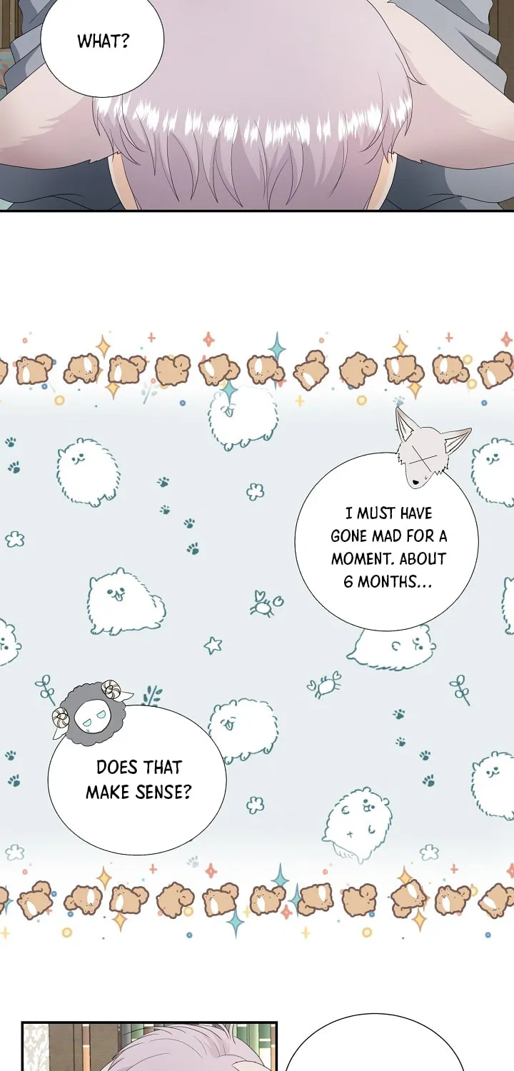 Read This Wolf Won