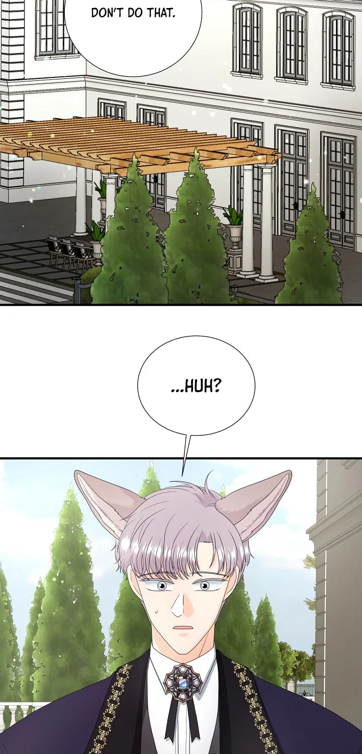 Read This Wolf Won