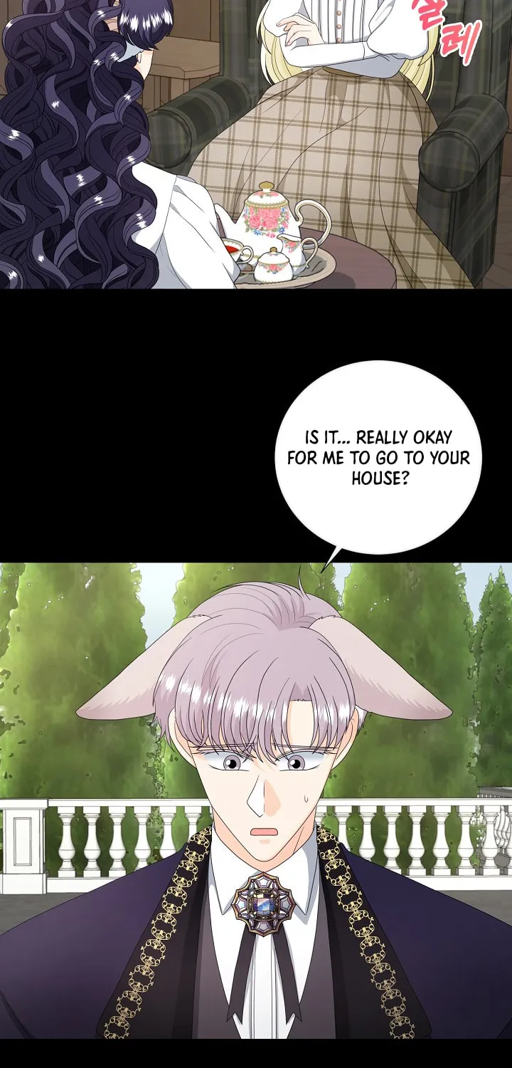 Read This Wolf Won