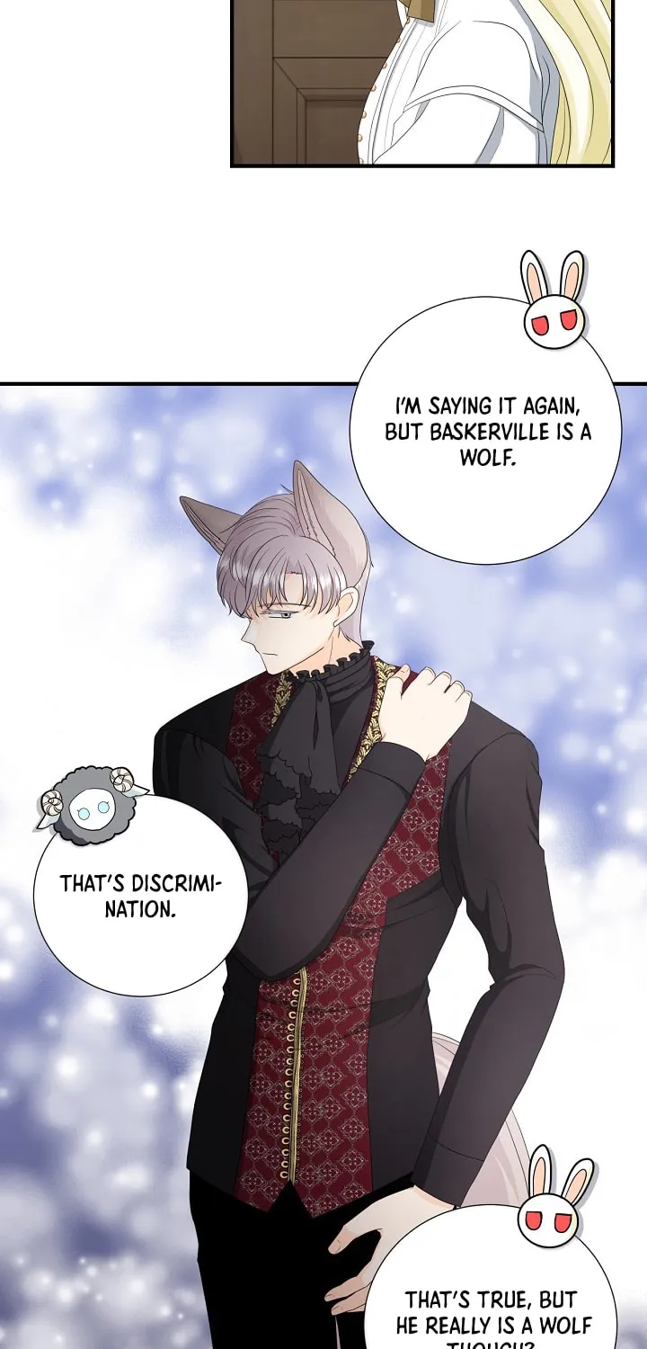 Read This Wolf Won