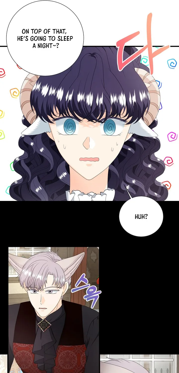 Read This Wolf Won