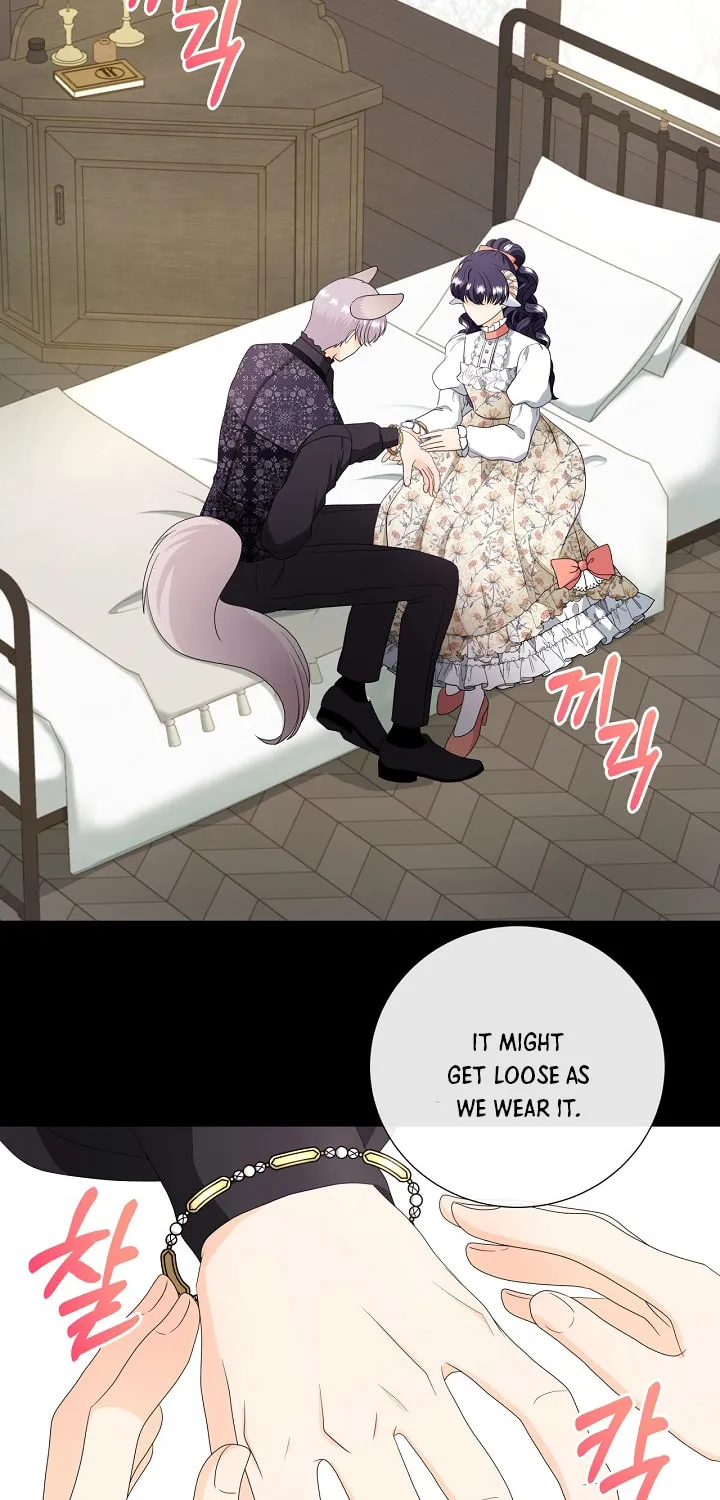 Read This Wolf Won