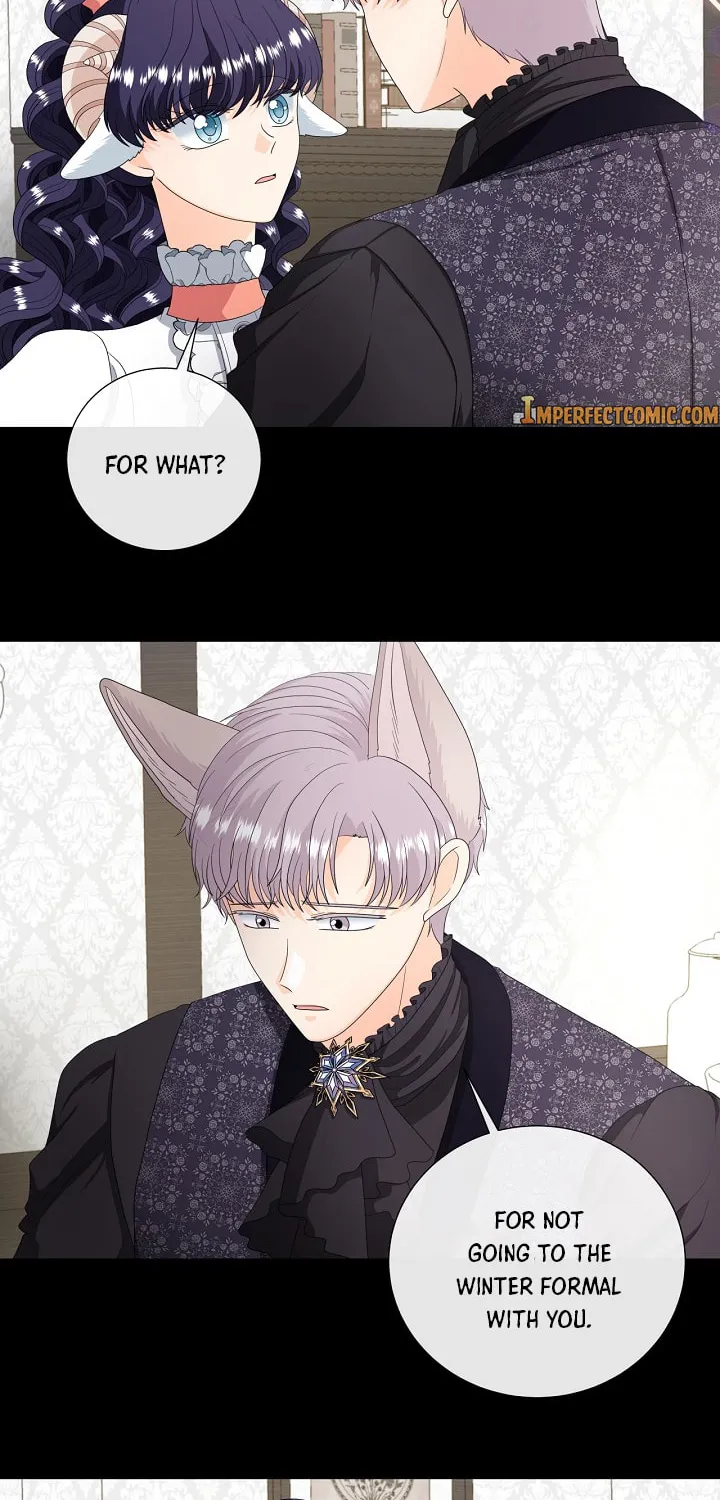 Read This Wolf Won