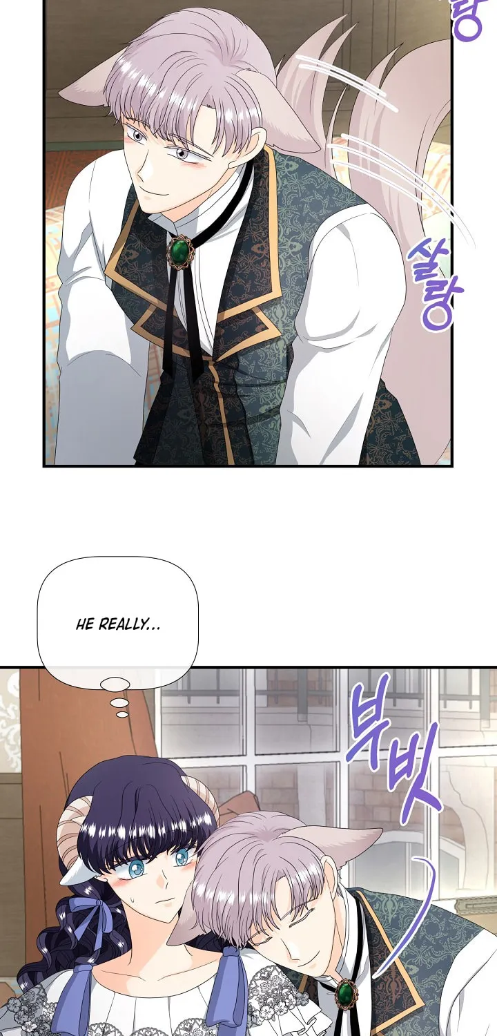 Read This Wolf Won