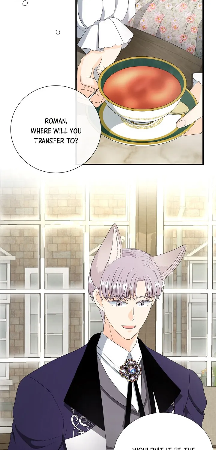 Read This Wolf Won