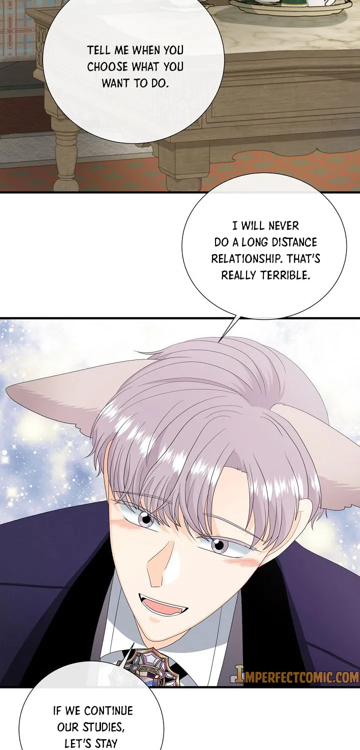 Read This Wolf Won