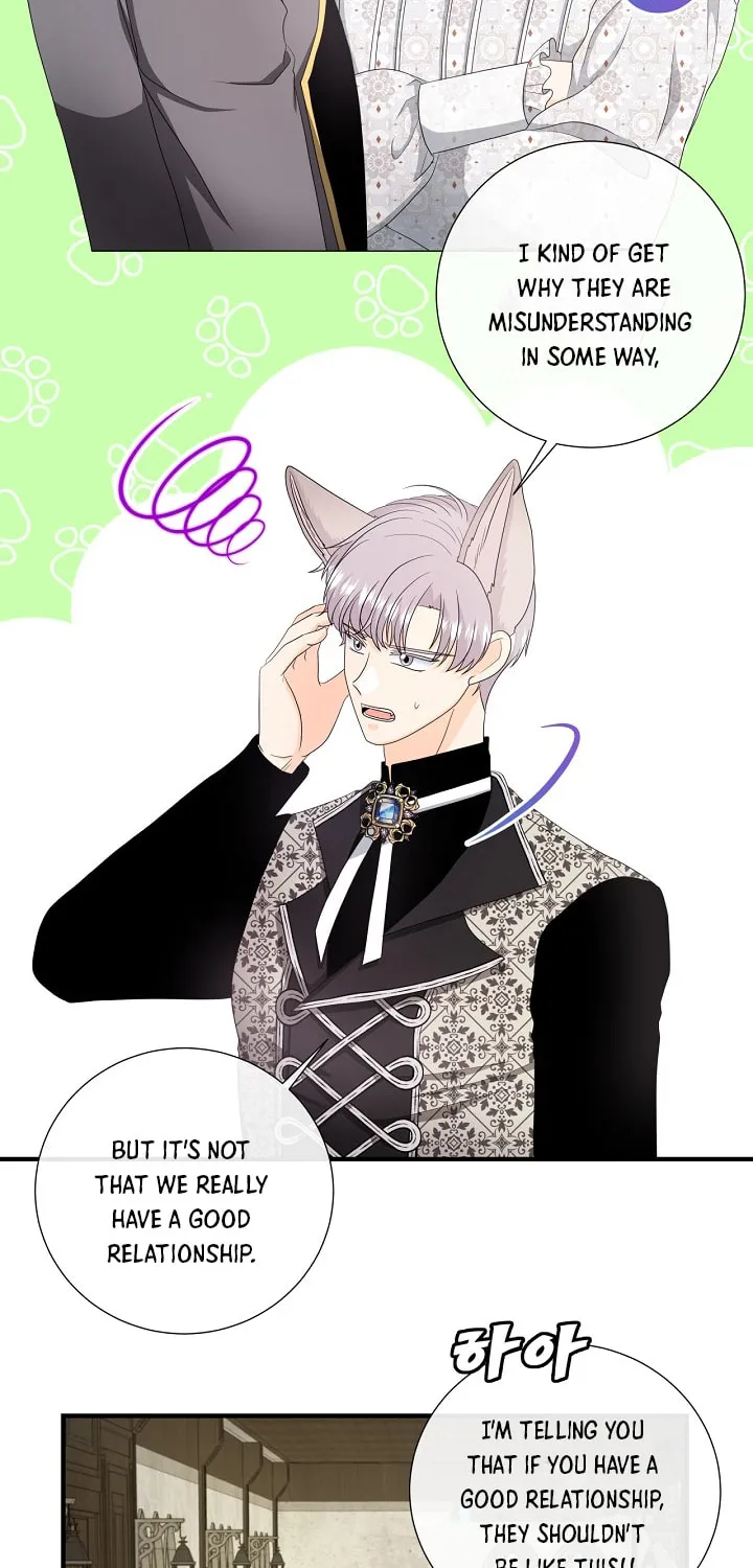Read This Wolf Won