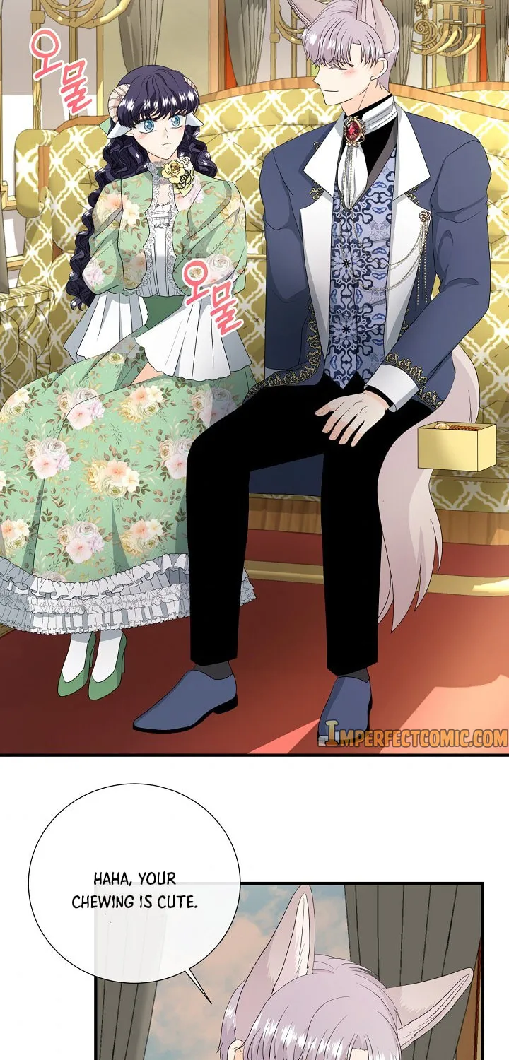 Read This Wolf Won