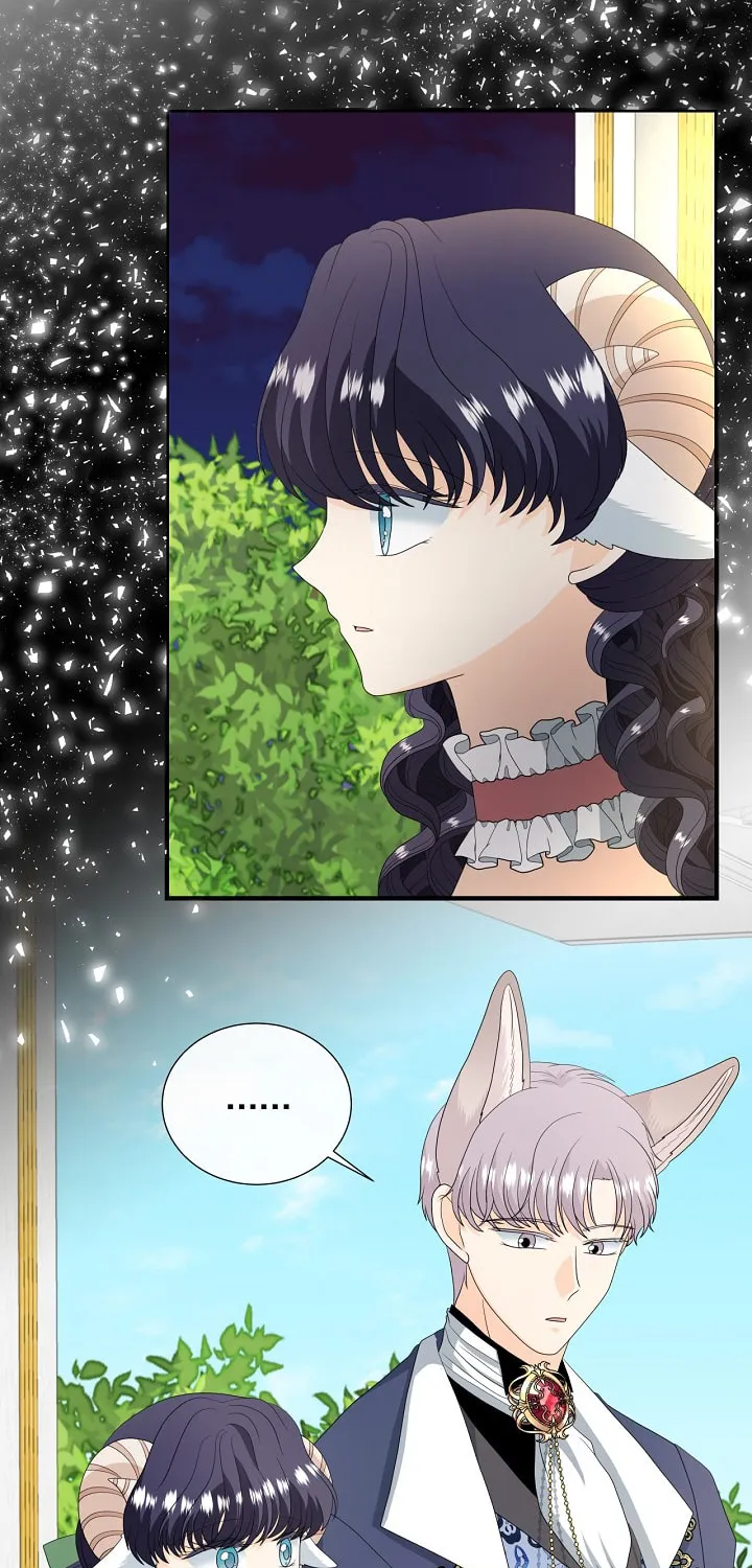 Read This Wolf Won