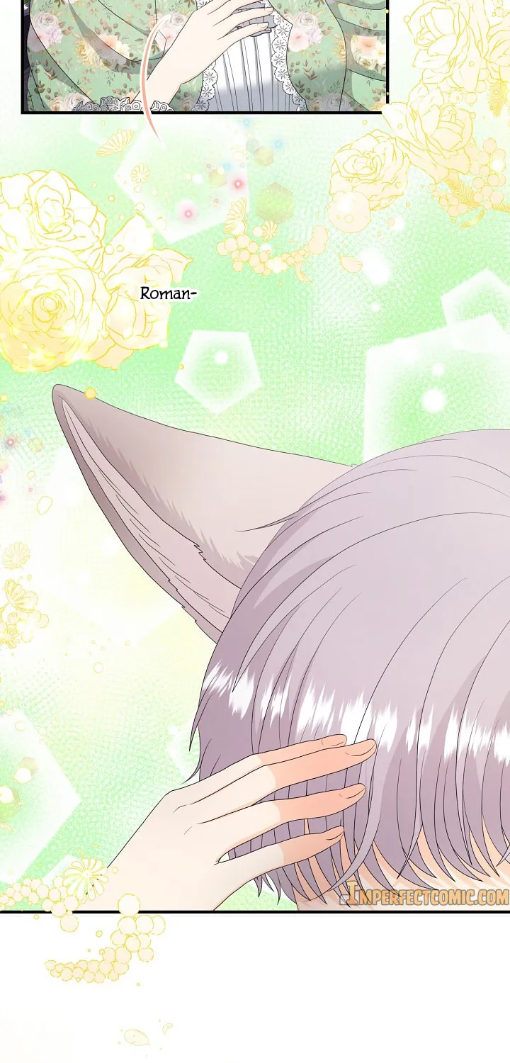 Read This Wolf Won
