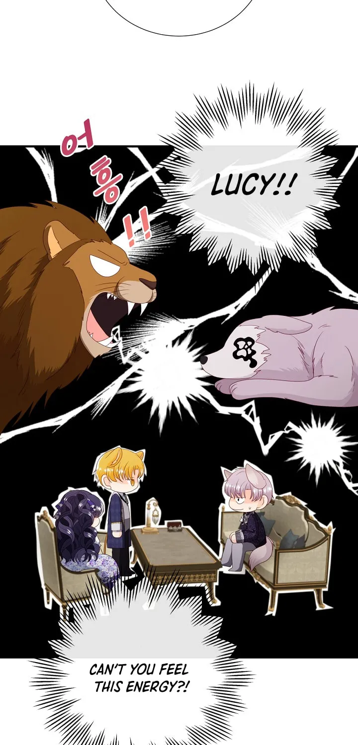 Read This Wolf Won