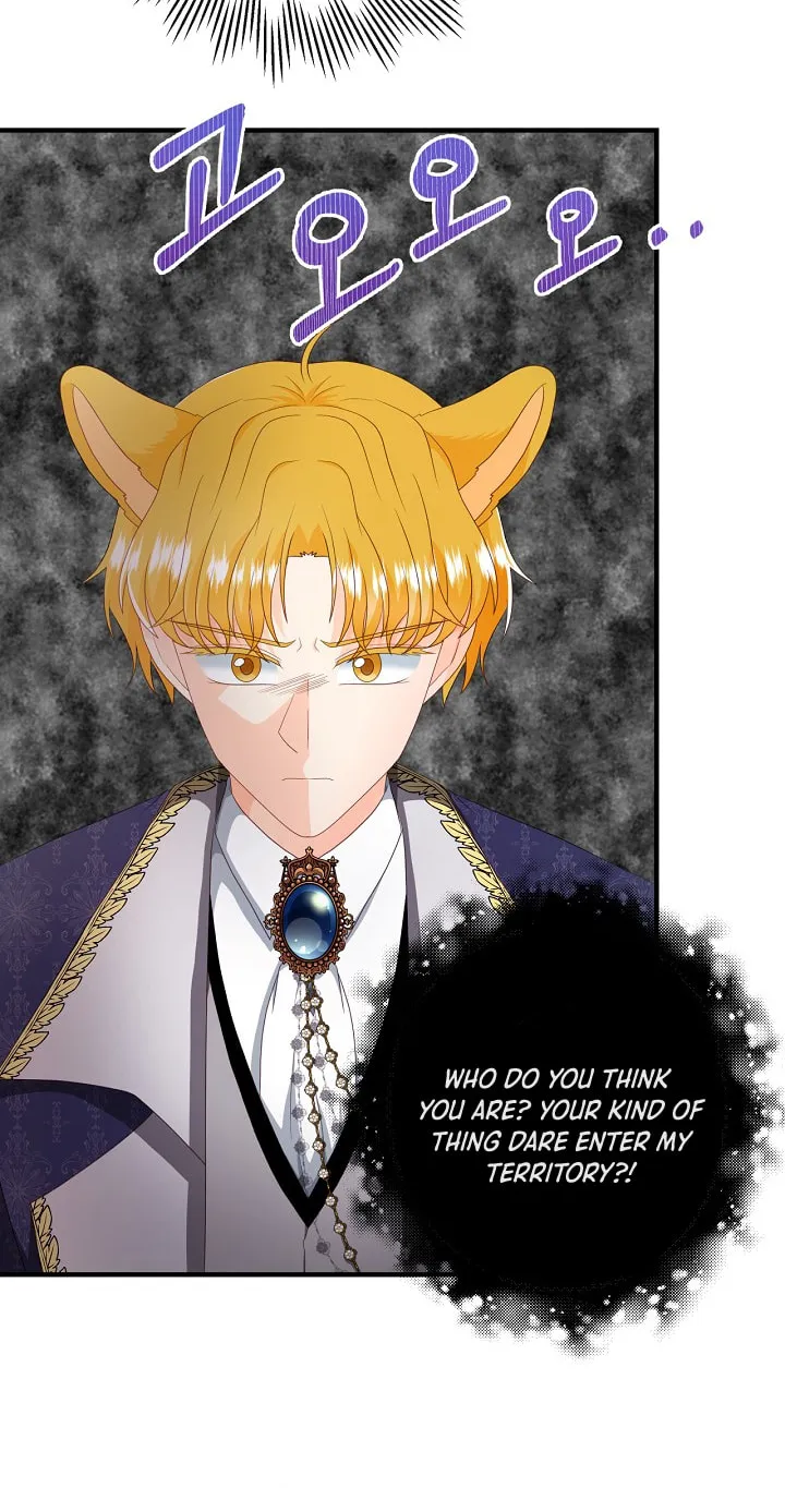Read This Wolf Won