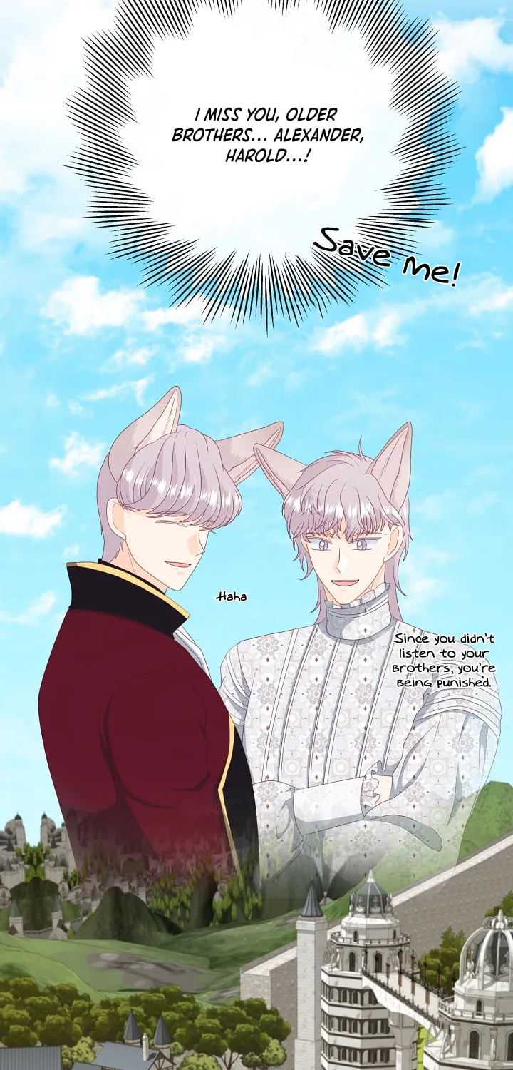 Read This Wolf Won