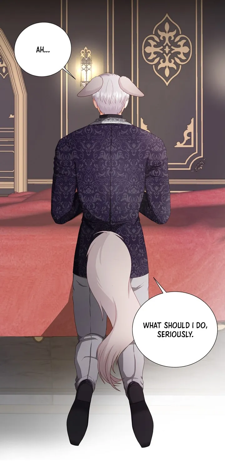 Read This Wolf Won