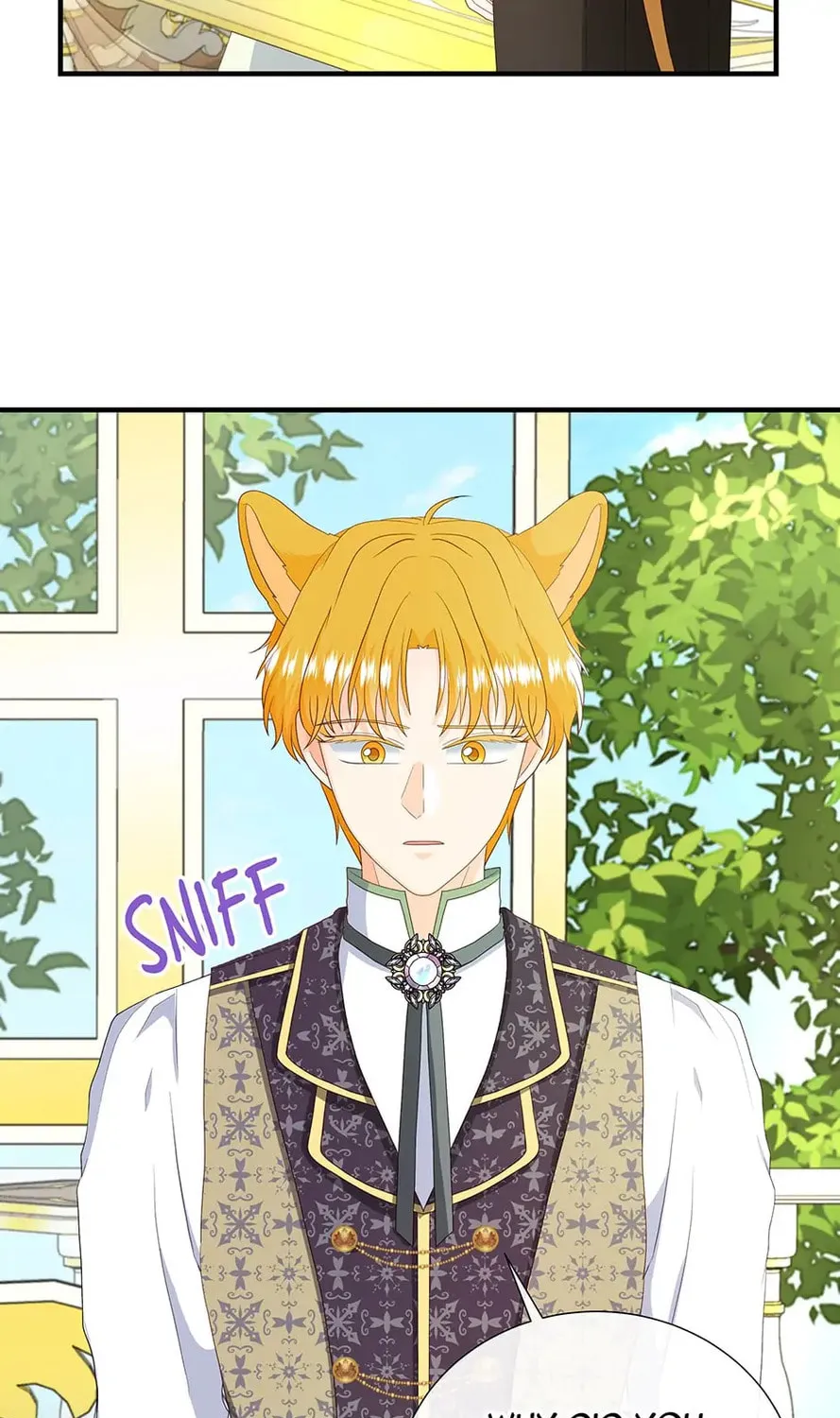 Read This Wolf Won