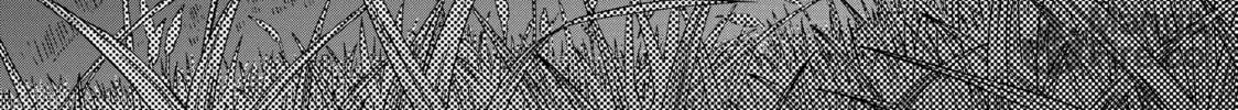 Read Those Snow White Notes chapter 105 image 9 on Lezhin