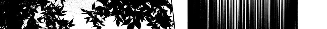 Read Those Snow White Notes chapter 111 image 21 on Lezhin