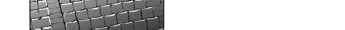 Read Those Snow White Notes chapter 94 image 55 on Lezhin