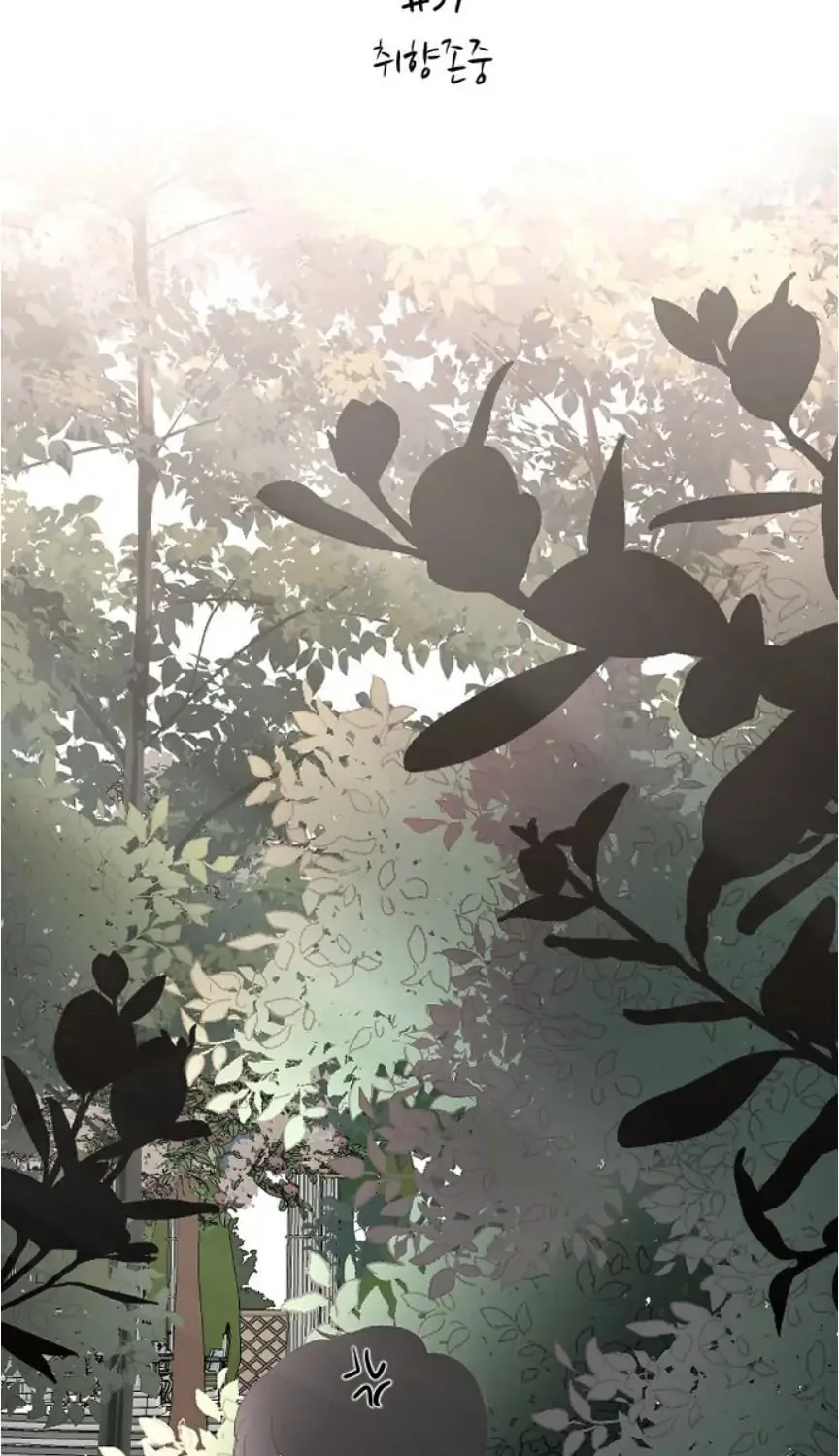 Three B(r)others Chapter 37 page 14 - 