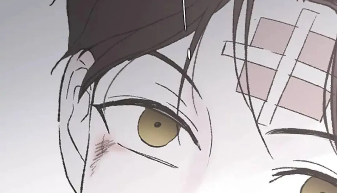Three B(r)others Chapter 53 page 169 - 