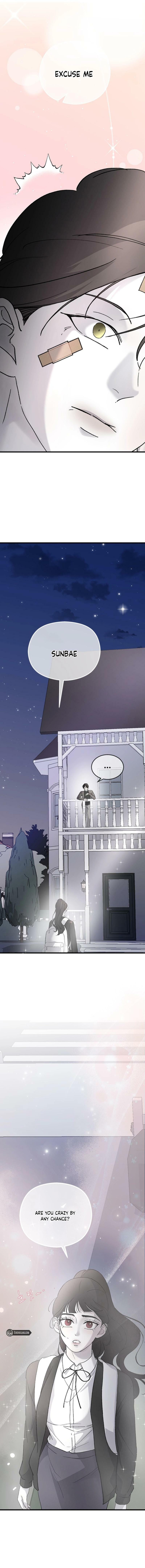 Three B(r)others Chapter 77 page 3 - 