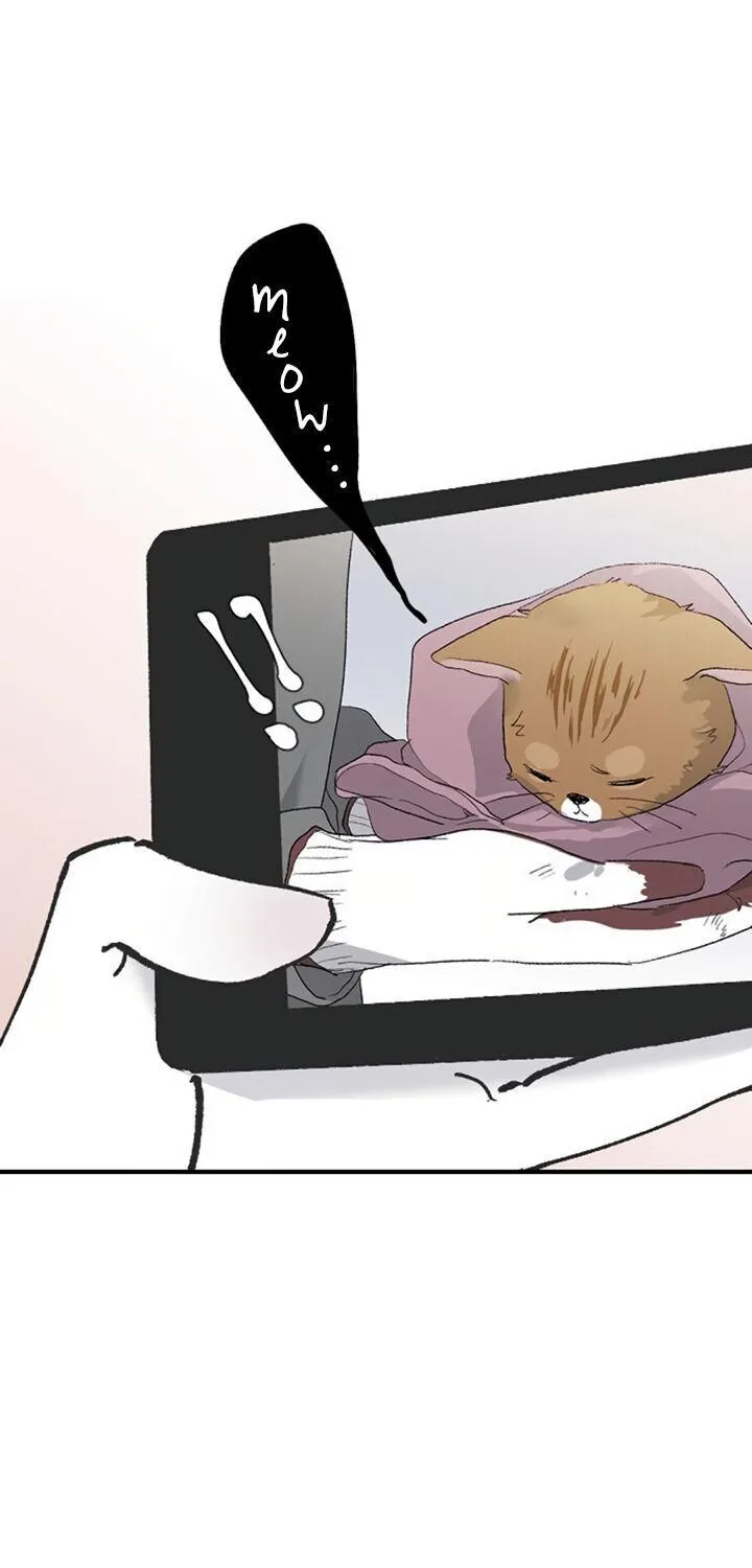 Read Three Brothers chapter 11 image 35 on Lezhin