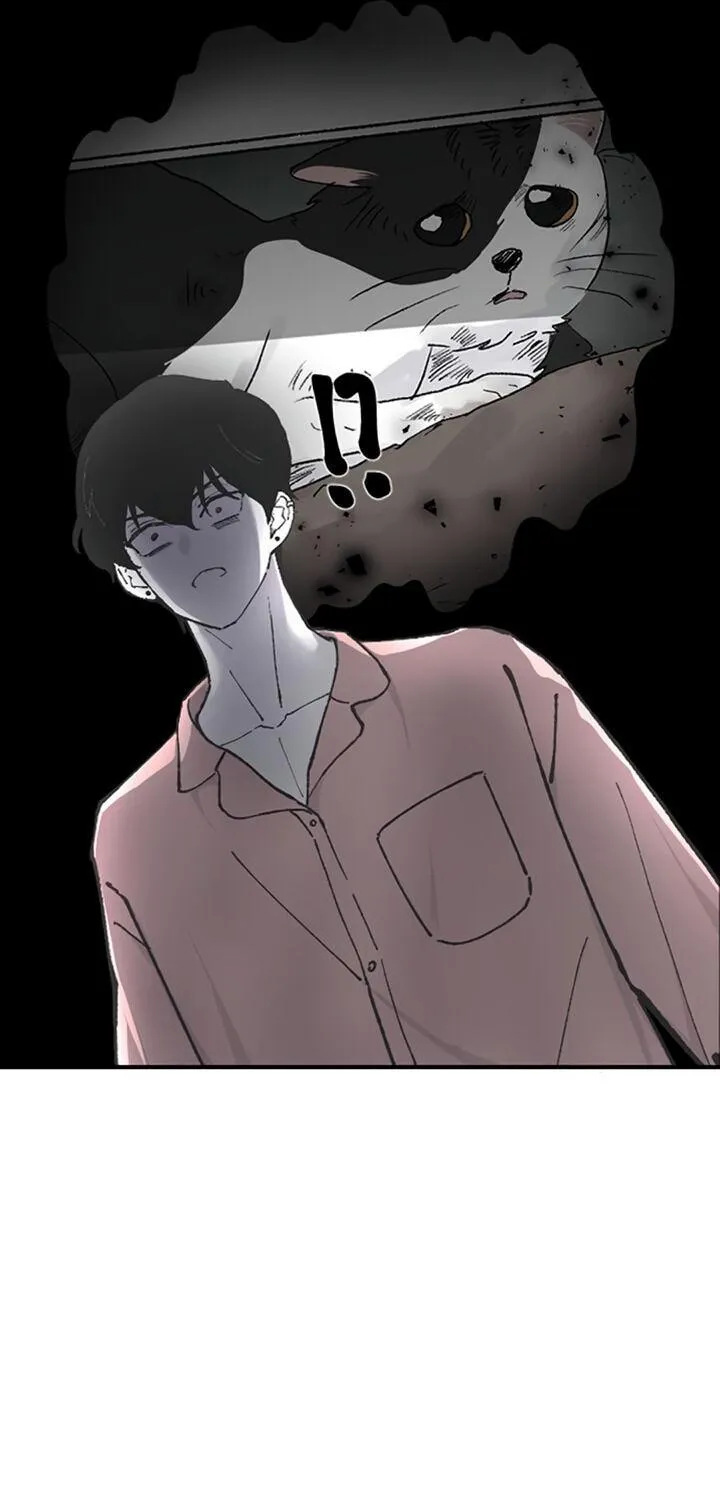 Read Three Brothers chapter 11 image 48 on Lezhin