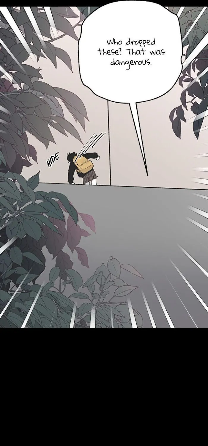 Read Three Brothers chapter 13 image 7 on Lezhin