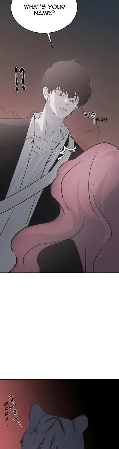 Read Three Brothers chapter 19 image 9 on Lezhin