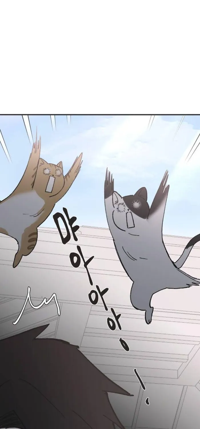 Read Three Brothers chapter 24 image 63 on Lezhin