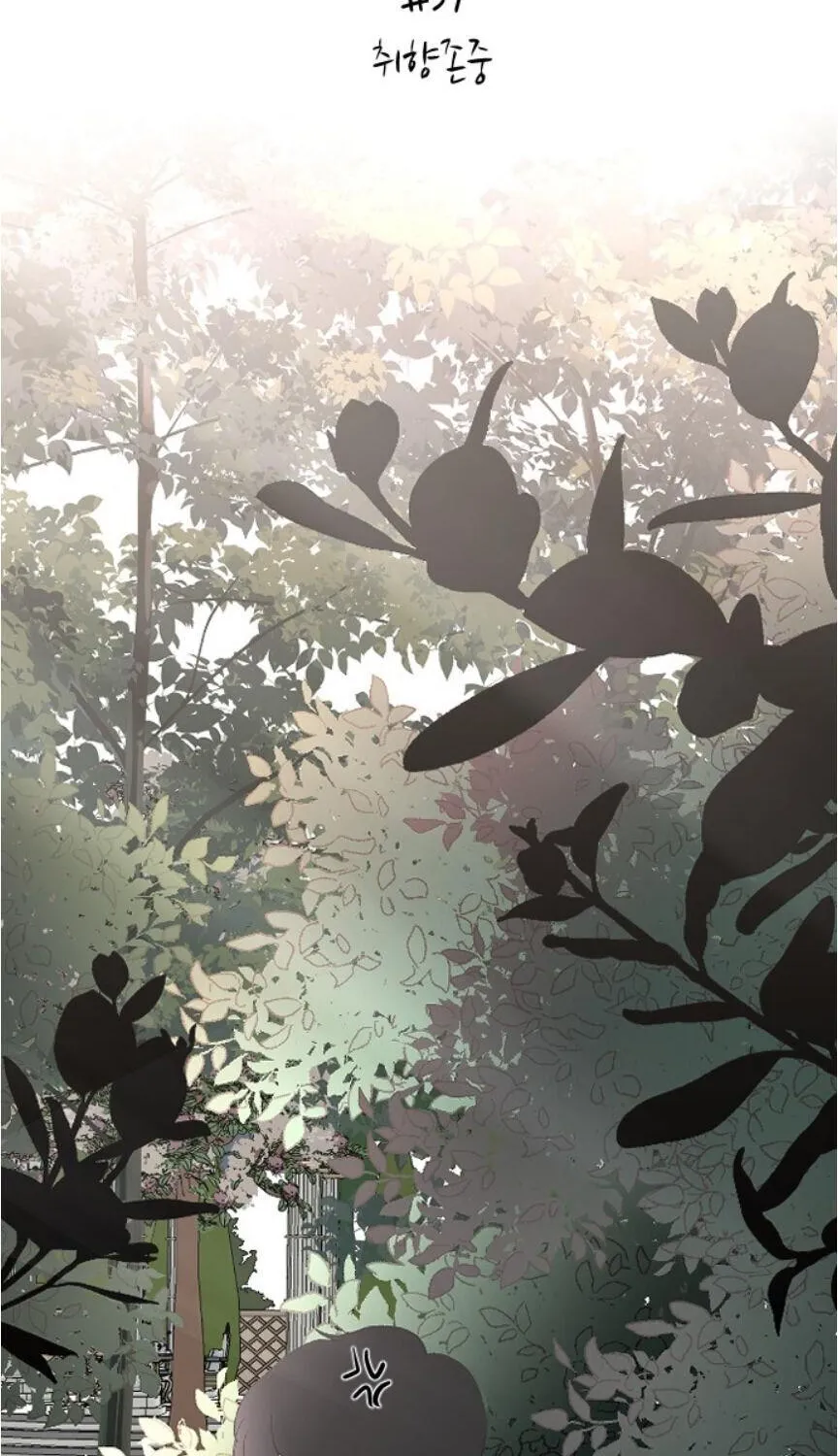 Read Three Brothers chapter 37 image 13 on Lezhin
