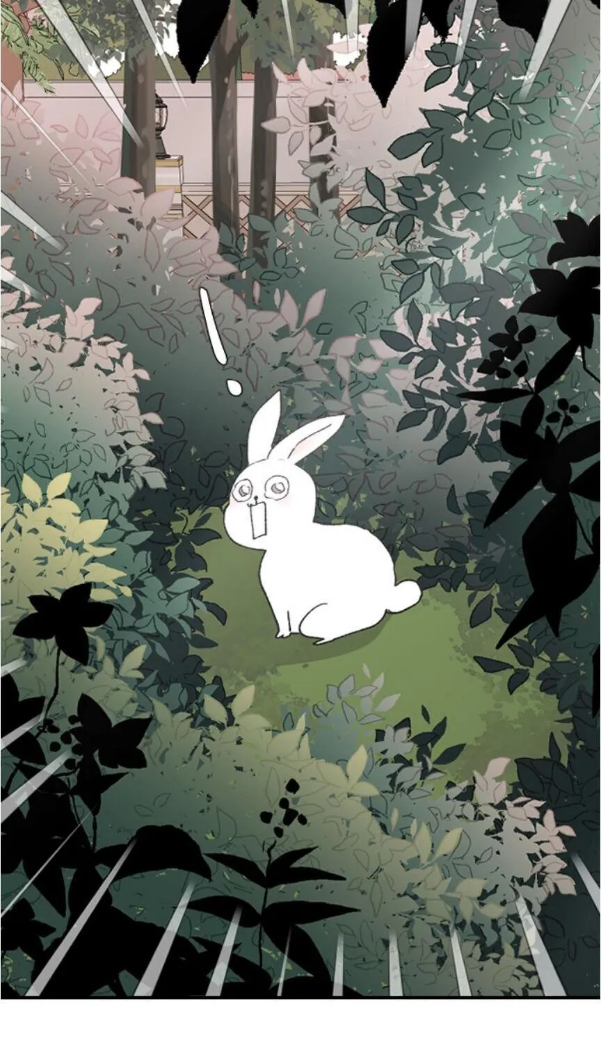 Read Three Brothers chapter 37 image 5 on Lezhin