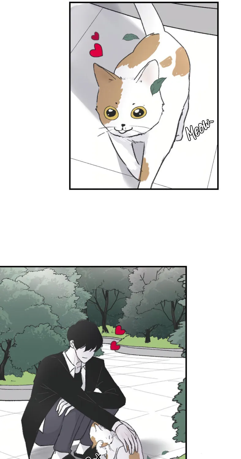 Read Three Brothers chapter 4 image 22 on Lezhin