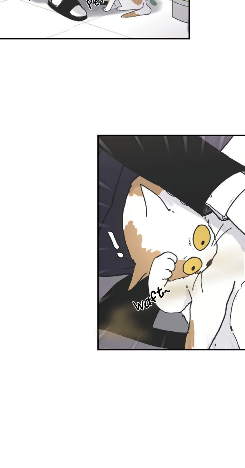 Read Three Brothers chapter 4 image 23 on Lezhin